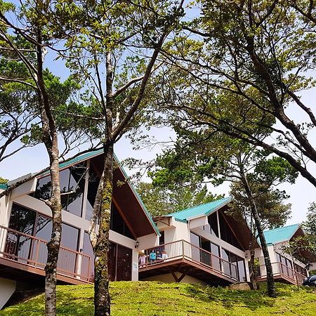 Green Forest Rustic Houses Monteverde Kültér fotó