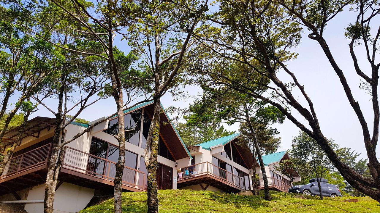 Green Forest Rustic Houses Monteverde Kültér fotó